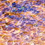 image: Image from the photoset &lsquo;parc (xxxix)&rsquo;.