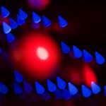 image: Image from the photoset &lsquo;luxembourg (xii)&rsquo;.