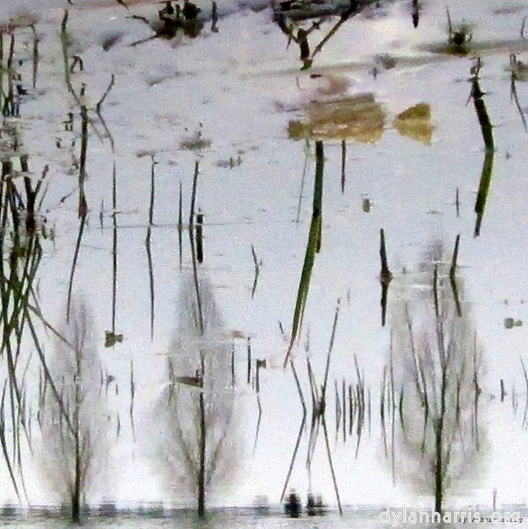 Image: Image 'eindhoven (ii) 2'.