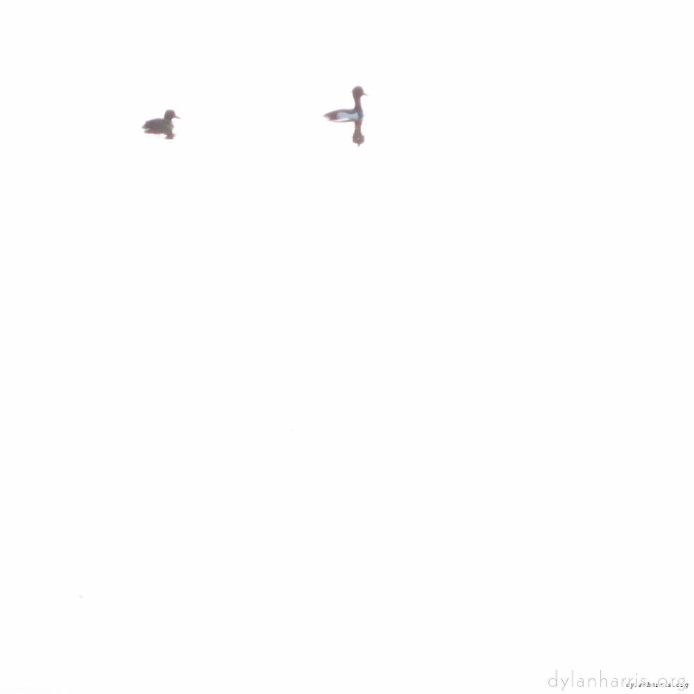 image: This is &lsquo;eindhoven (ii) 6&rsquo;.