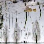 image: Image from the photoset &lsquo;eindhoven (ii)&rsquo;.