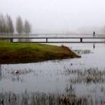 image: Image from the photoset &lsquo;eindhoven (ii)&rsquo;.