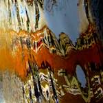 Fourth image from the photoset 'amsterdam (i)'.