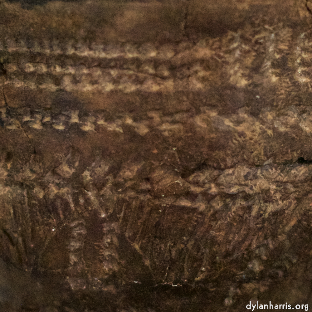 Image: Image 'museum (i) 1'.