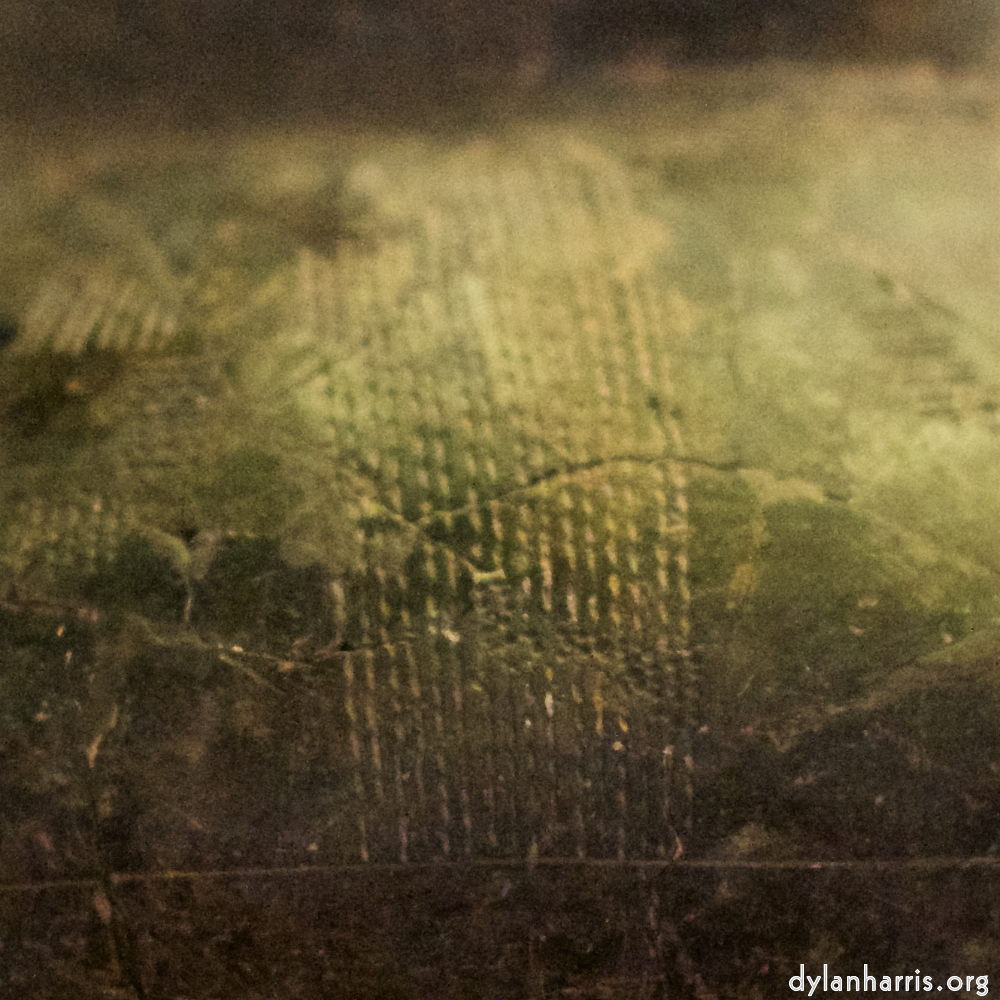 image: This is &lsquo;museum (i) 6&rsquo;.