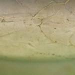 Image: First image from the photoset 'museum (ii)'.