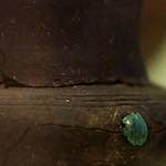 Image: Fifth image from the photoset 'museum (ii)'.