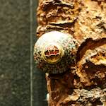 image: museum (v) photoset