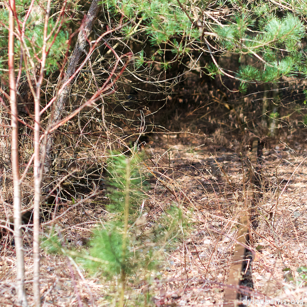 image: This is &lsquo;train (xvi) 1&rsquo;.