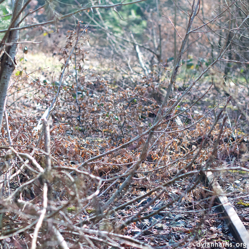 Image: Image 'train (xvi) 2'.