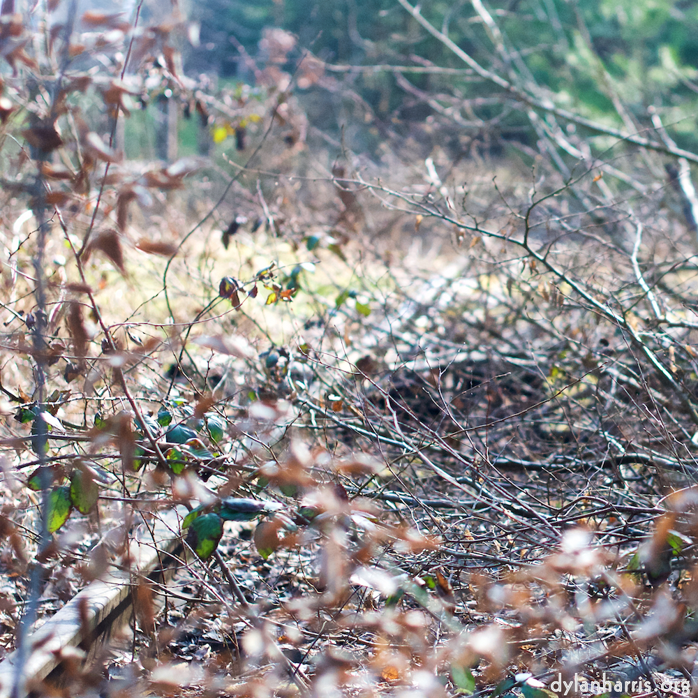 Image: Image 'train (xvi) 5'.