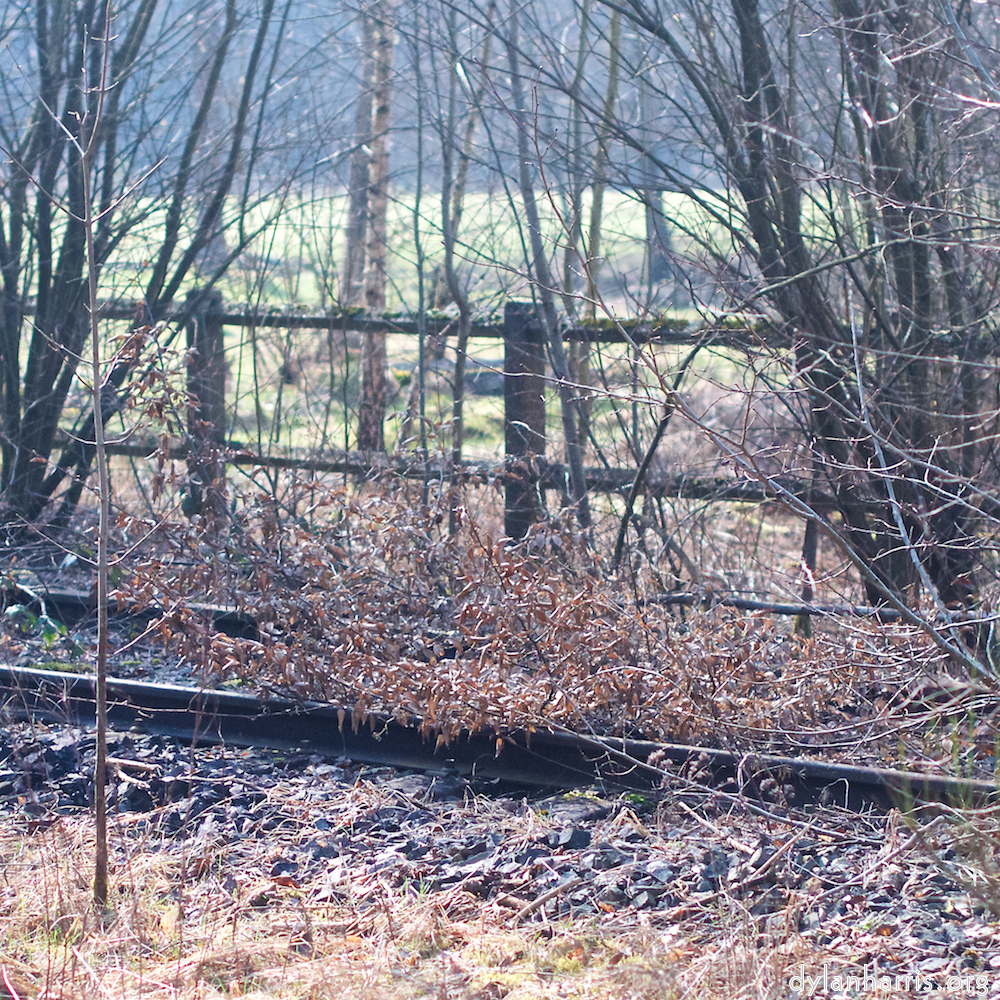 Image: Image 'train (xvi) 6'.