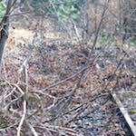 Image: Second image from the photoset 'train (xvi)'.