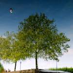 First image from the photoset 'eindhoven (vii)'.