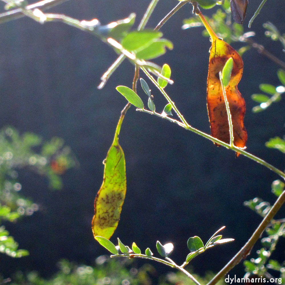 image: This is &lsquo;sky gate 3&rsquo;.