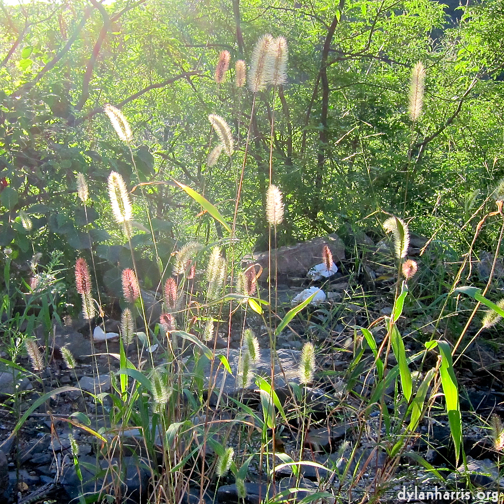 image: This is &lsquo;sky gate 5&rsquo;.