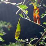 image: Image from the photoset &lsquo;sky gate&rsquo;.