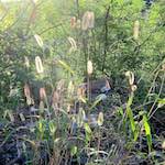 image: Image from the photoset &lsquo;sky gate&rsquo;.