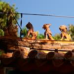 image: Image from the photoset &lsquo;tanzhe temple (i)&rsquo;.