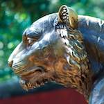 image: Image from the photoset &lsquo;tanzhe temple (ii)&rsquo;.