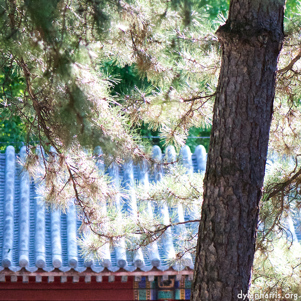 image: This is &lsquo;tanzhe temple (iii) 2&rsquo;.