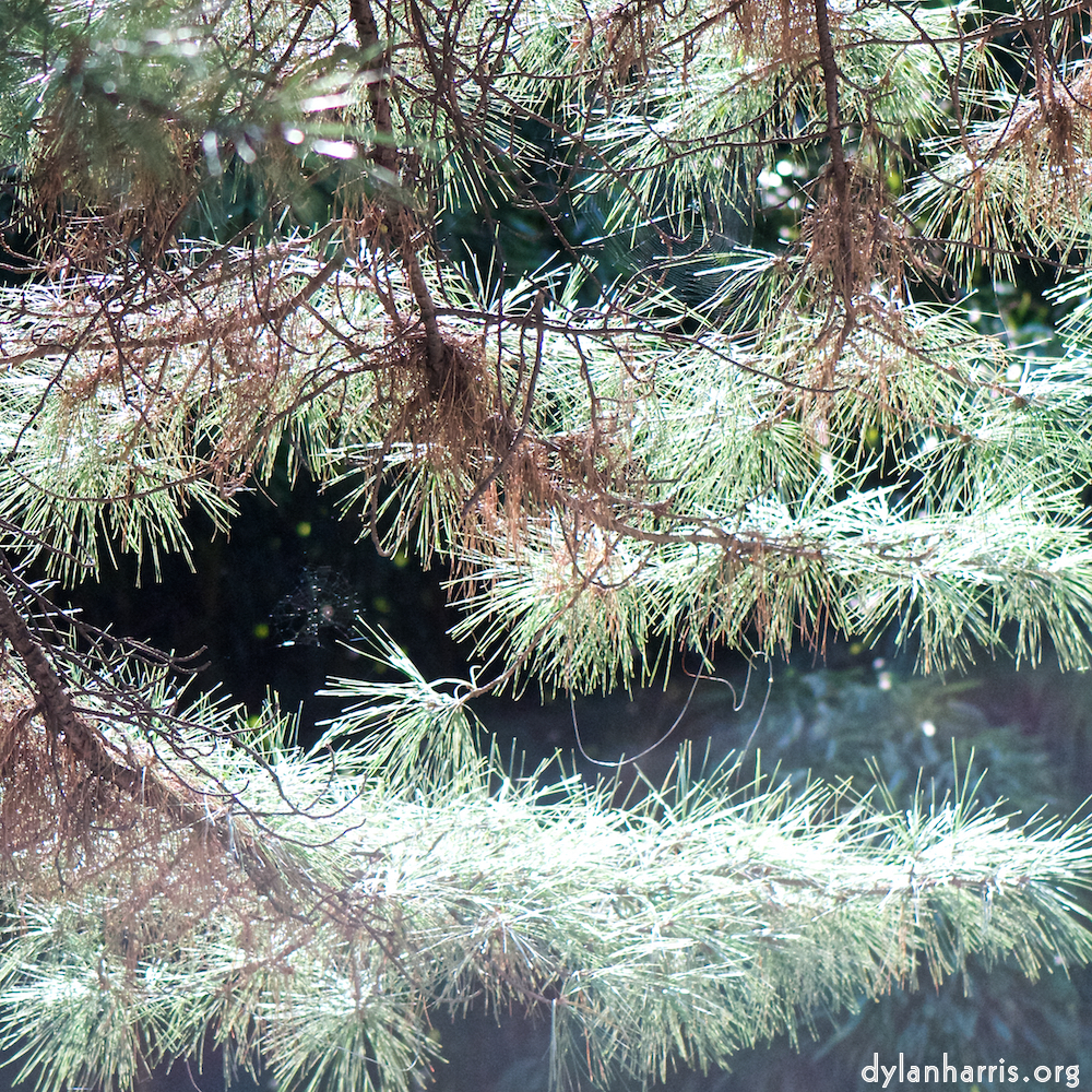 image: This is &lsquo;tanzhe temple (iii) 5&rsquo;.