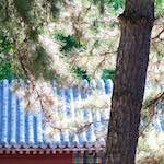 image: Image from the photoset &lsquo;tanzhe temple (iii)&rsquo;.