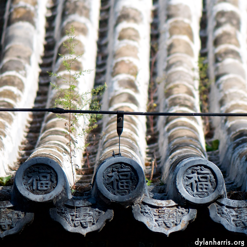 image: This is &lsquo;tanzhe temple (iv) 3&rsquo;.