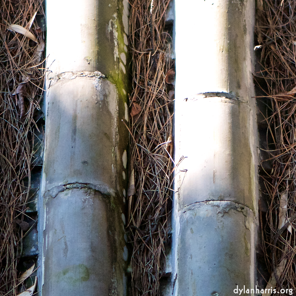 image: This is &lsquo;tanzhe temple (iv) 4&rsquo;.