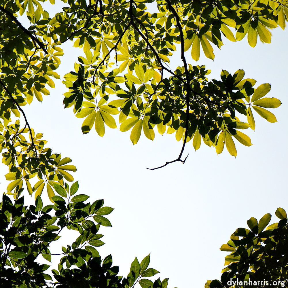 image: This is &lsquo;tanzhe temple (iv) 5&rsquo;.