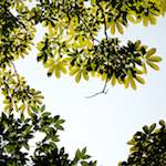 image: Image from the photoset &lsquo;tanzhe temple (iv)&rsquo;.