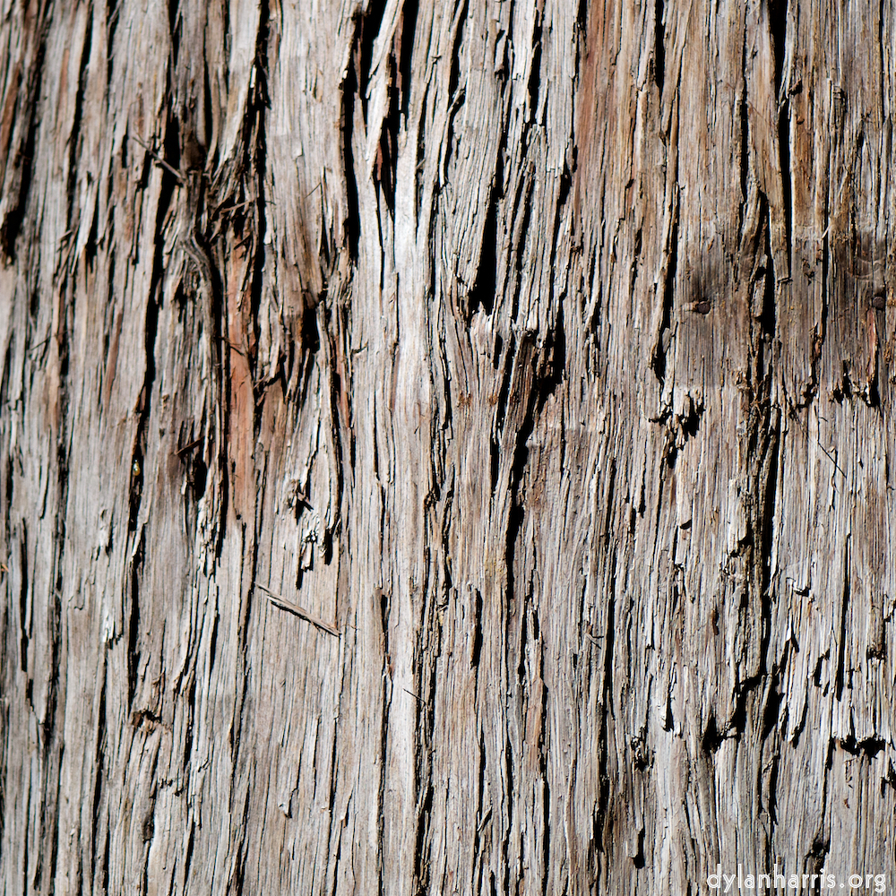 image: This is &lsquo;tanzhe temple (vi) 5&rsquo;.