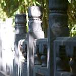 image: Image from the photoset &lsquo;tanzhe temple (vi)&rsquo;.