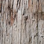 image: Image from the photoset &lsquo;tanzhe temple (vi)&rsquo;.