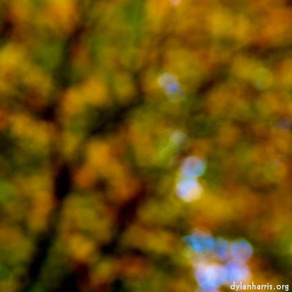 Image 'dublin (vi) 11'.