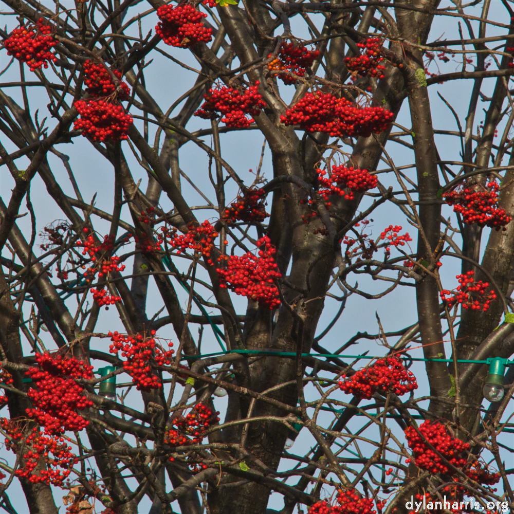 Image: Image 'dublin (vi) 3'.