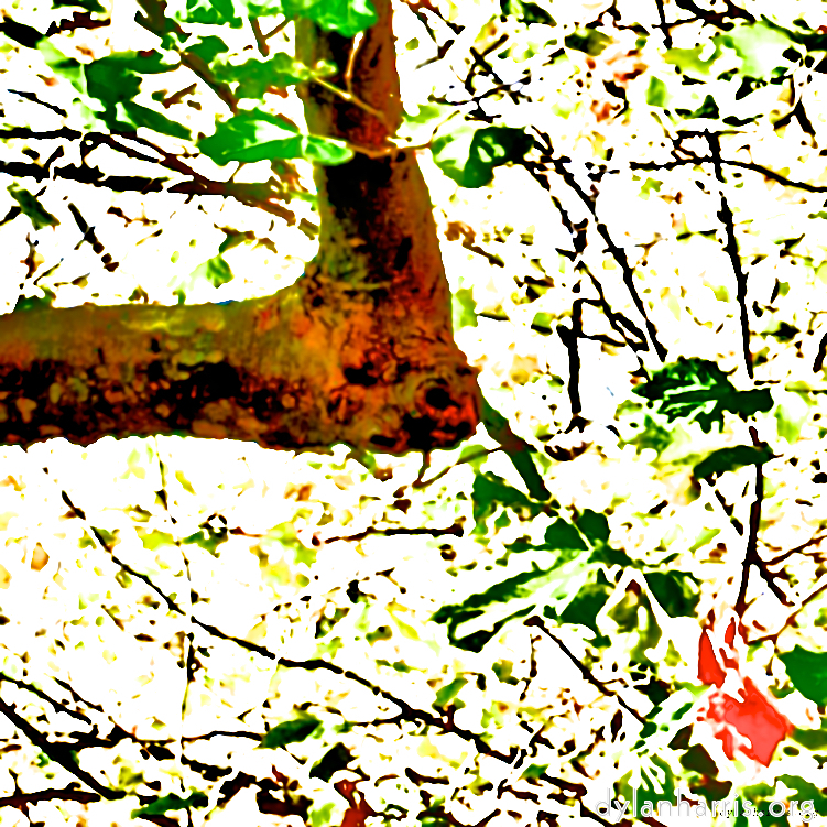 Image 'dublin (vi) 6'.