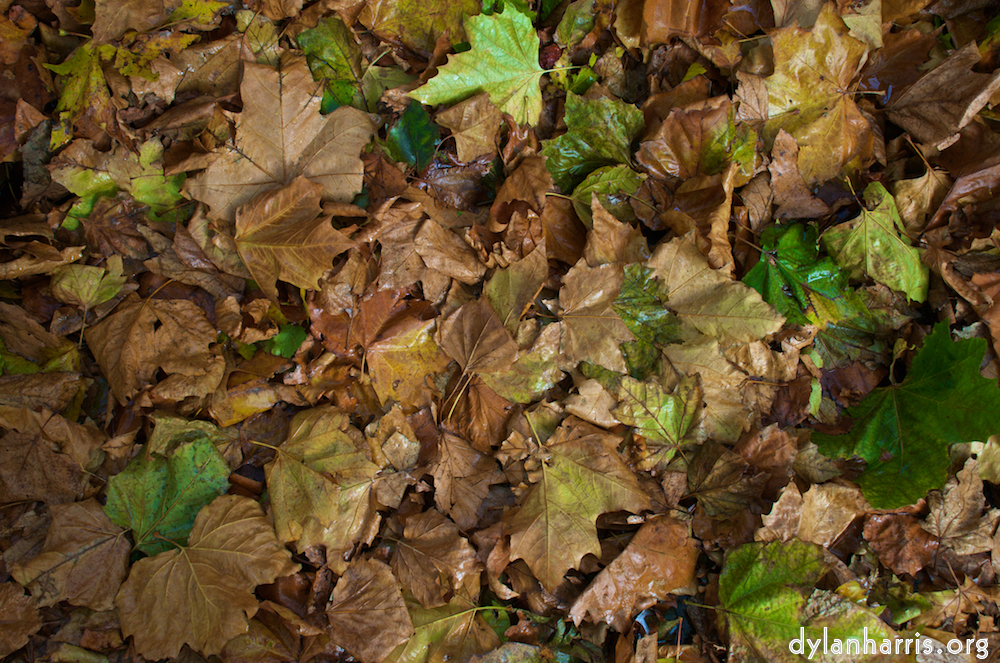 Image: Image 'dublin (vi) 8'.