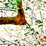 Sixth image from the photoset 'dublin (vi)'.