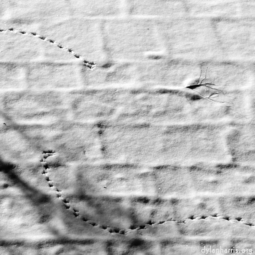 image: This is &lsquo;montmartre (xiv) 4&rsquo;.