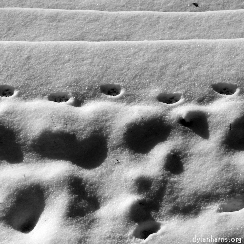 image: This is &lsquo;montmartre (xiv) 6&rsquo;.