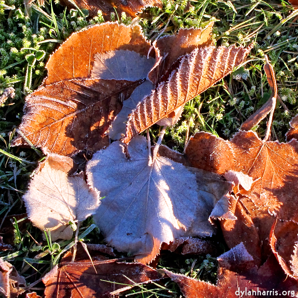 Image: Image 'parc (xxxv) 6'.