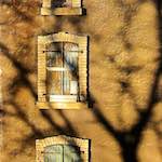 Image: Second image from the photoset 'parc (xxxv)'.