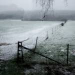 Second image from the photoset 'way to work B (iii)'.