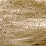 Second image from the photoset 'amsterdam (vi)'.