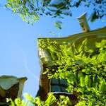 Seventh image from the photoset 'amsterdam (vi)'.