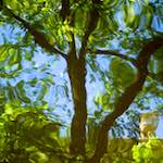 Eighth image from the photoset 'amsterdam (vi)'.