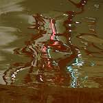 Fourth image from the photoset 'amsterdam (vii)'.