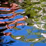 Seventh image from the photoset 'amsterdam (vii)'.