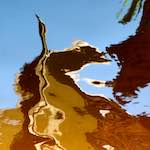 Eighth image from the photoset 'amsterdam (vii)'.